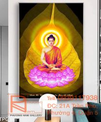 cv-tranh-phat-7533.jpg